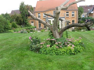 Wiederhold Garten Langerwisch Foto Brandt